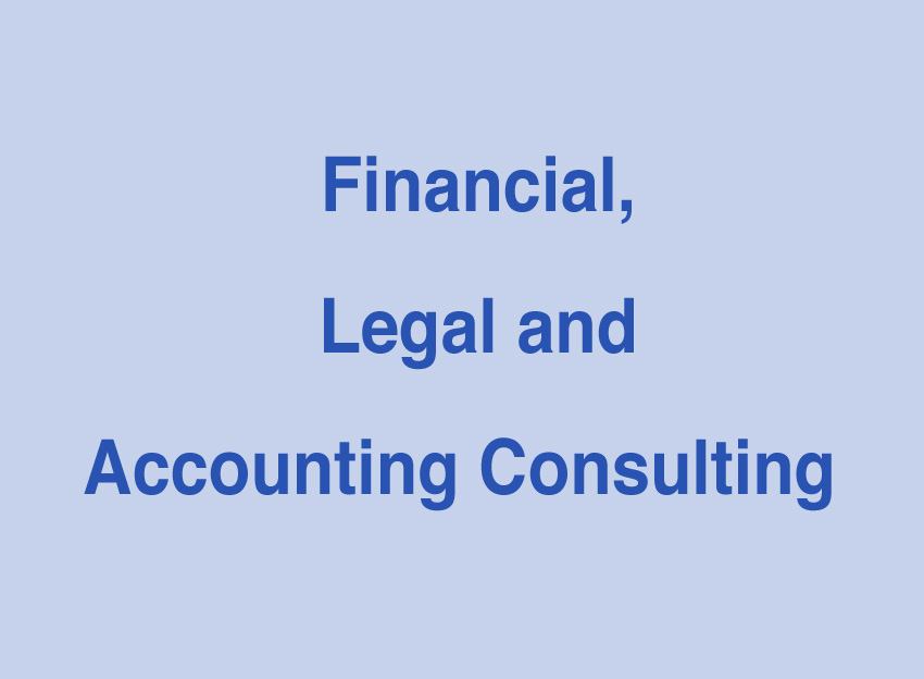 Financial, Legal and Accounting Consulting
